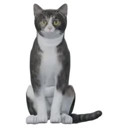 圆滚滚的英短猫伴灵 Mochi 的待机动作